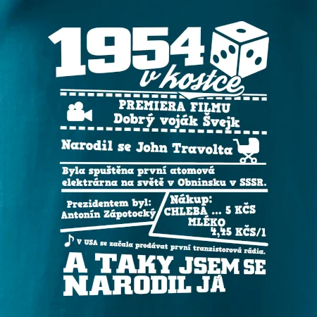 1954 v kostce