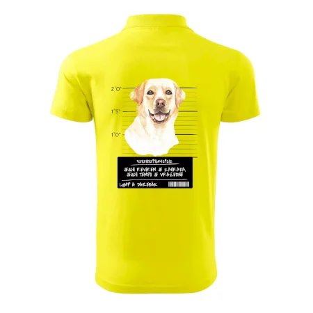 Lump a darebák labrador