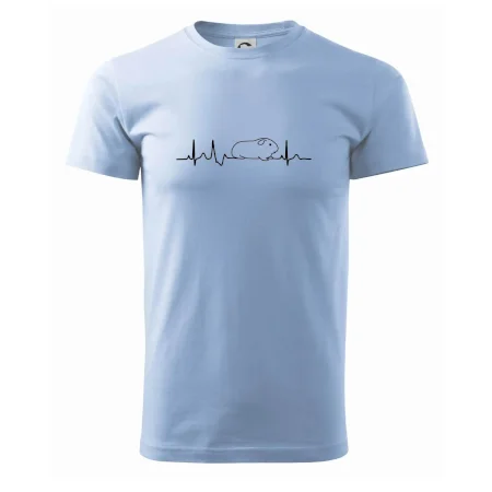 EKG morče