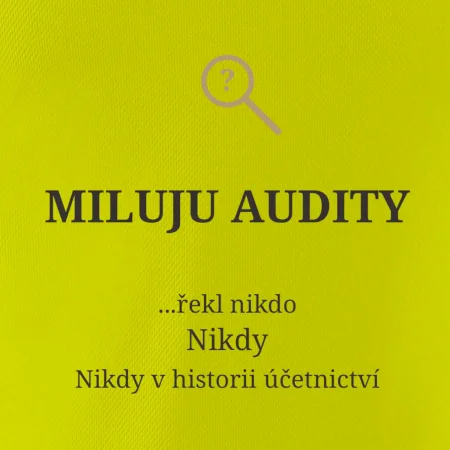 Miluju audity řekl nikdo nikdy