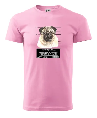 Lump a darebák mopsík
