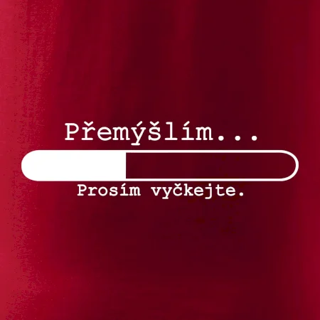 Přemýšlím