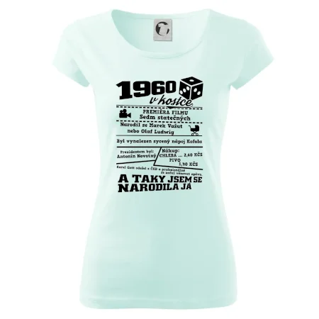 1960 v kostce
