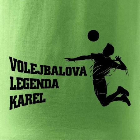 Volejbalová legenda Vaše jméno