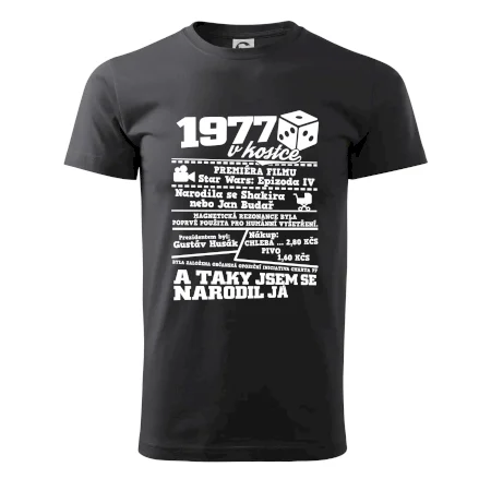 1977 v kostce