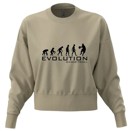 Evoluce Basketball