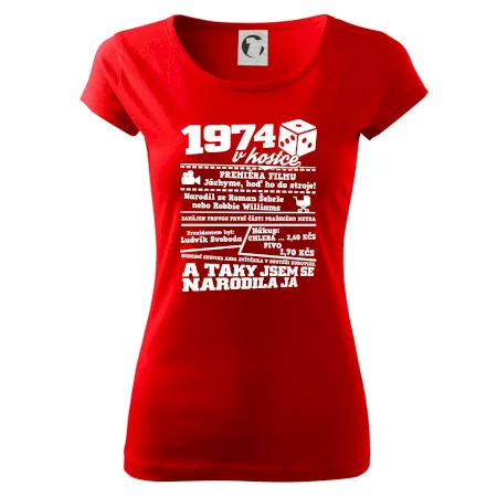 1974 v kostce