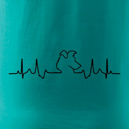 Border kolie EKG