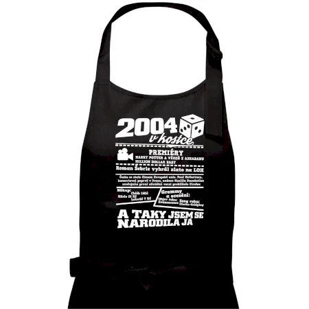 2004 v kostce