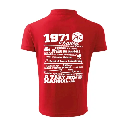 1971 v kostce