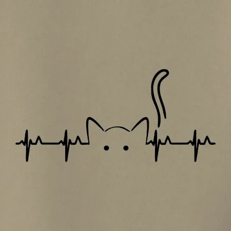 Kočka EKG