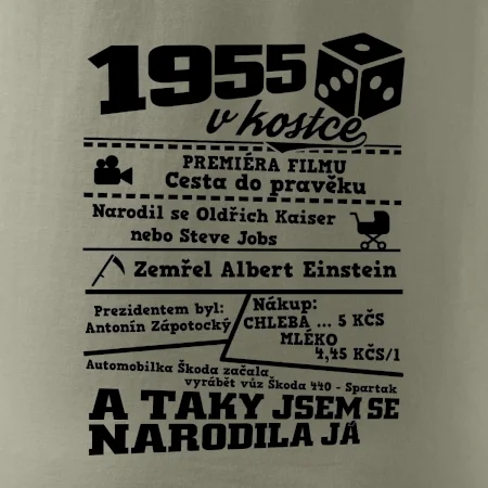 1955 v kostce