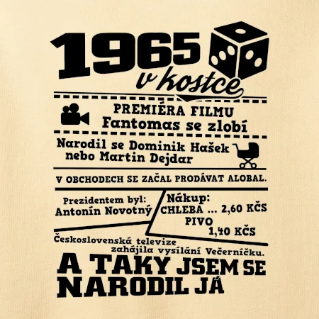 1965 v kostce
