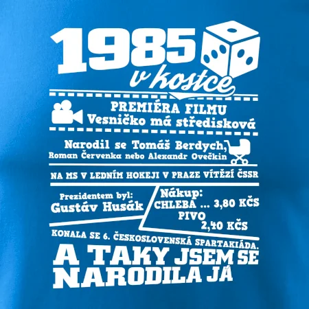 1985 v kostce
