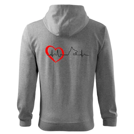 Německý ovčák ekg