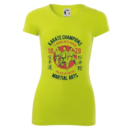 Karate Champions