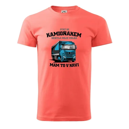 Stát se kamioňákem nebyla moje volba