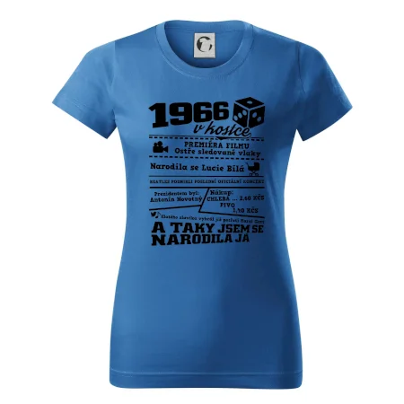 1966 v kostce