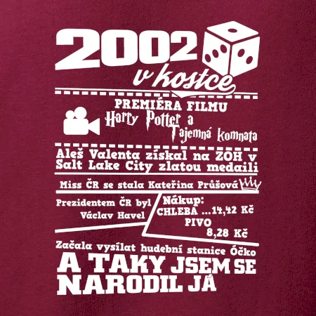 2002 v kostce