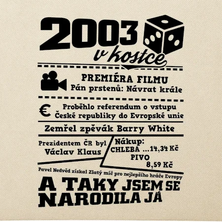2003 v kostce