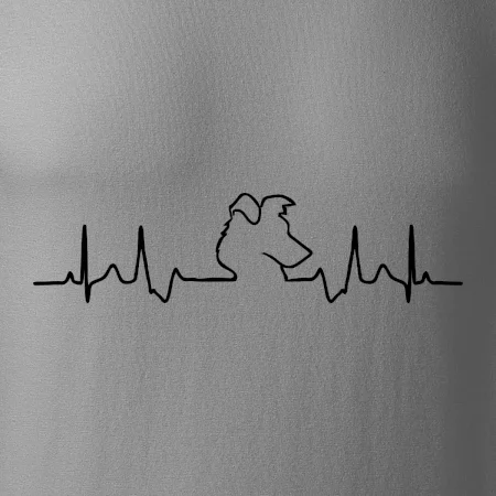 Border kolie EKG