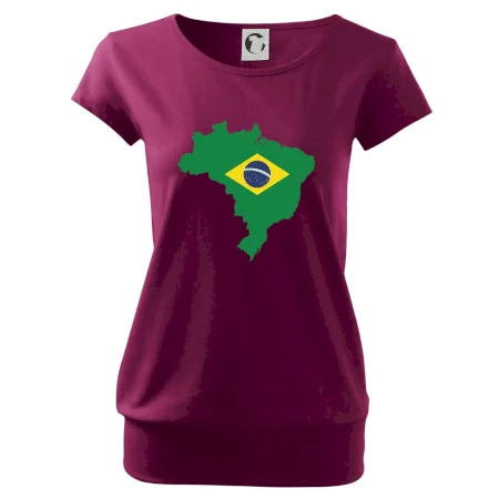Brazílie vlajka v mapě