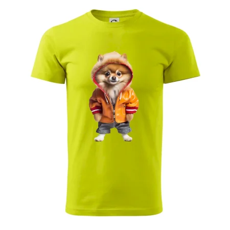 Pomeranian v bundě