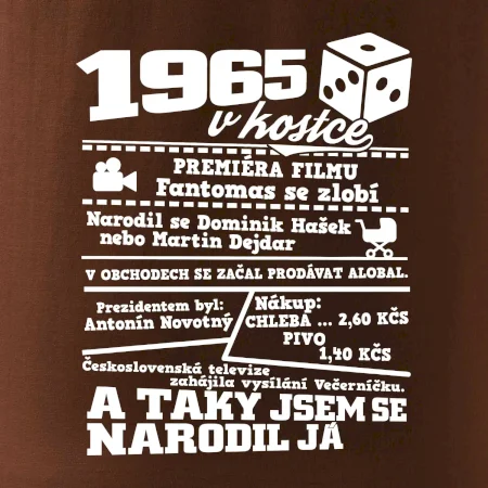 1965 v kostce