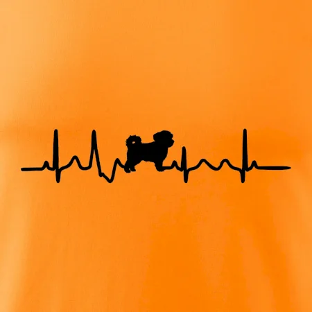Havanský psík ekg
