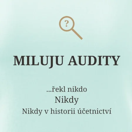 Miluju audity řekl nikdo nikdy