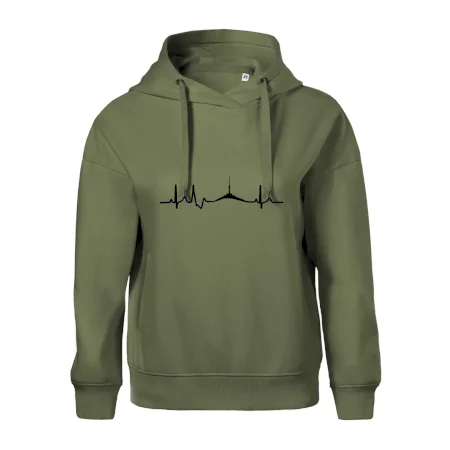 Ekg Jeseníky