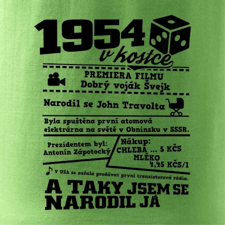 1954 v kostce