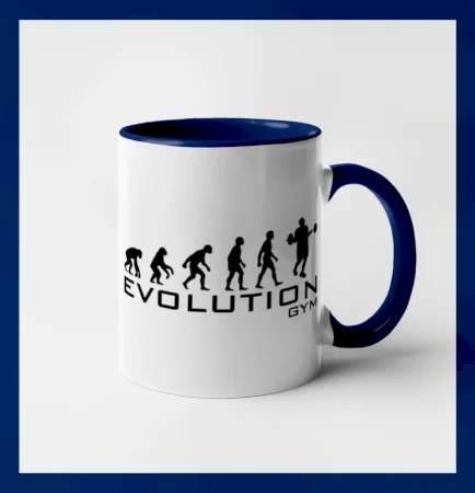 Evoluce Gym
