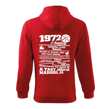 1972 v kostce