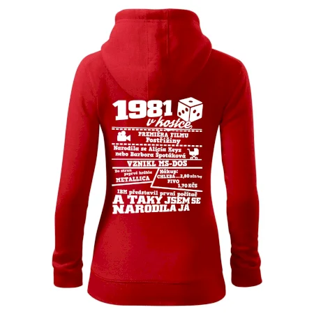 1981 v kostce