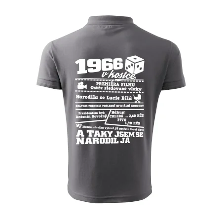 1966 v kostce