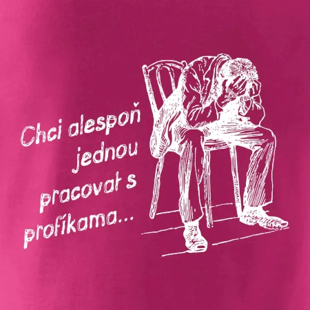 Chci alespoň jednou pracovat s profíkama