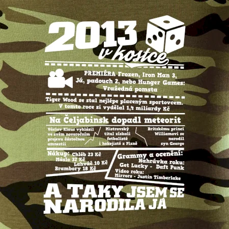 2013 v kostce