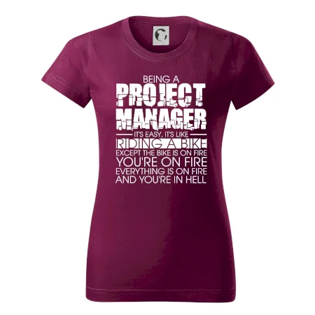 Being A Project Manager - bike