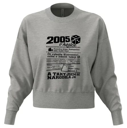 2005 v kostce