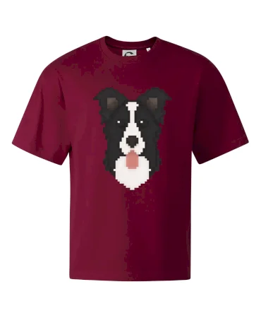 Border kolie Pixel