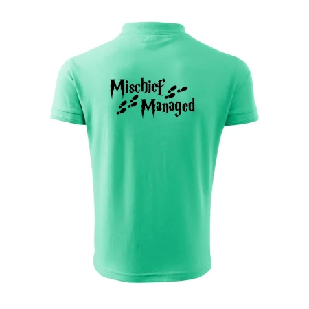 Harry - Mischief Managed