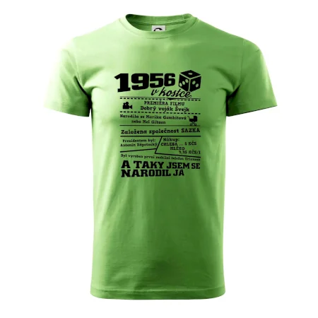 1956 v kostce