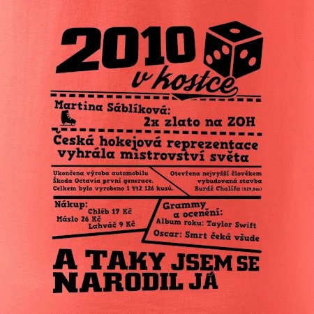 2010 v kostce