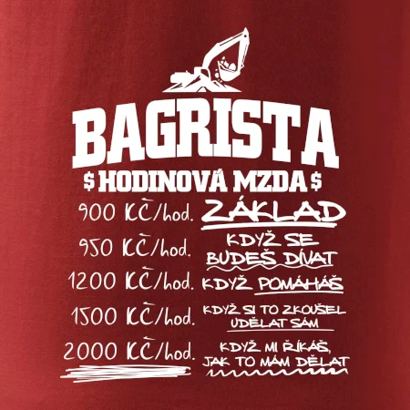 Hodinová mzda bagrista