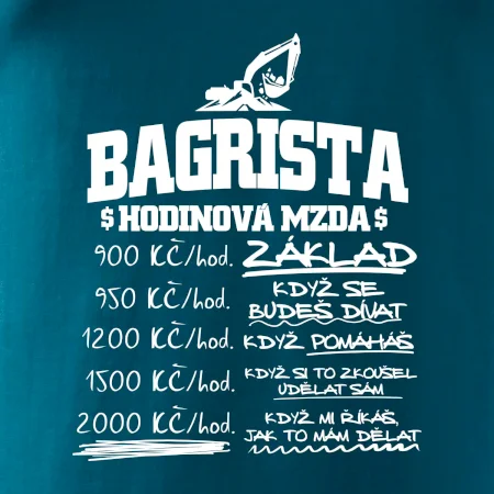 Hodinová mzda bagrista