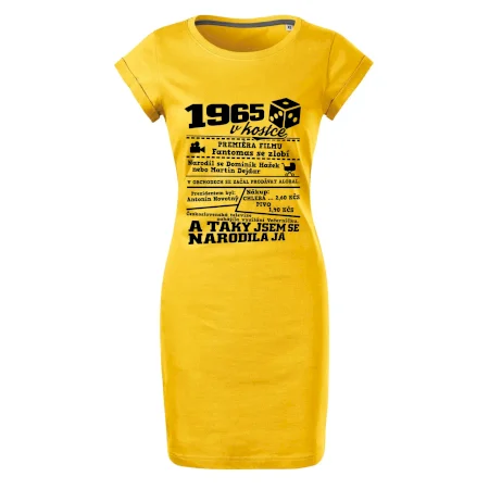 1965 v kostce