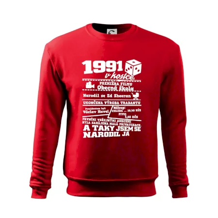 1991 v kostce
