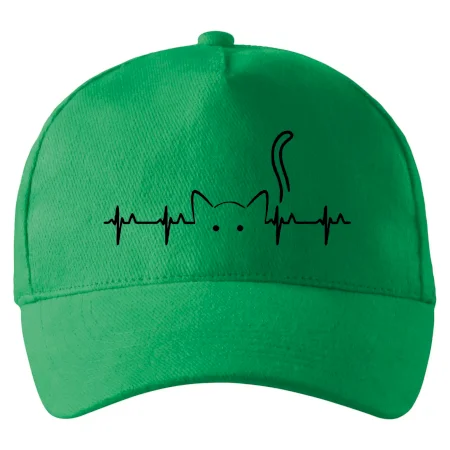 Kočka EKG