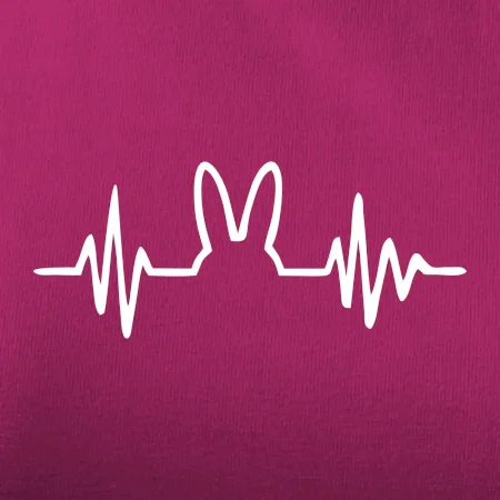 EKG zajíc